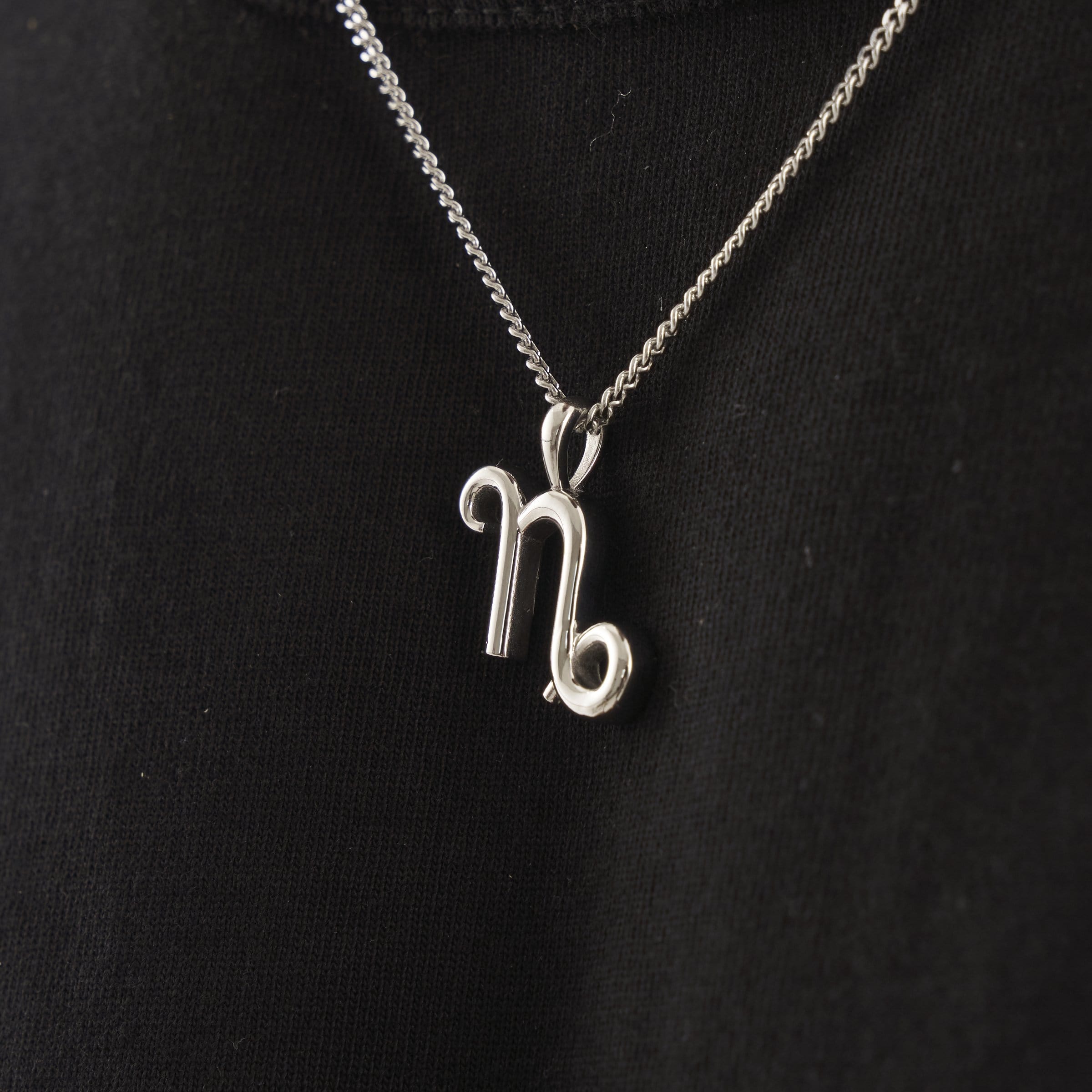 Capricorn (Silver)